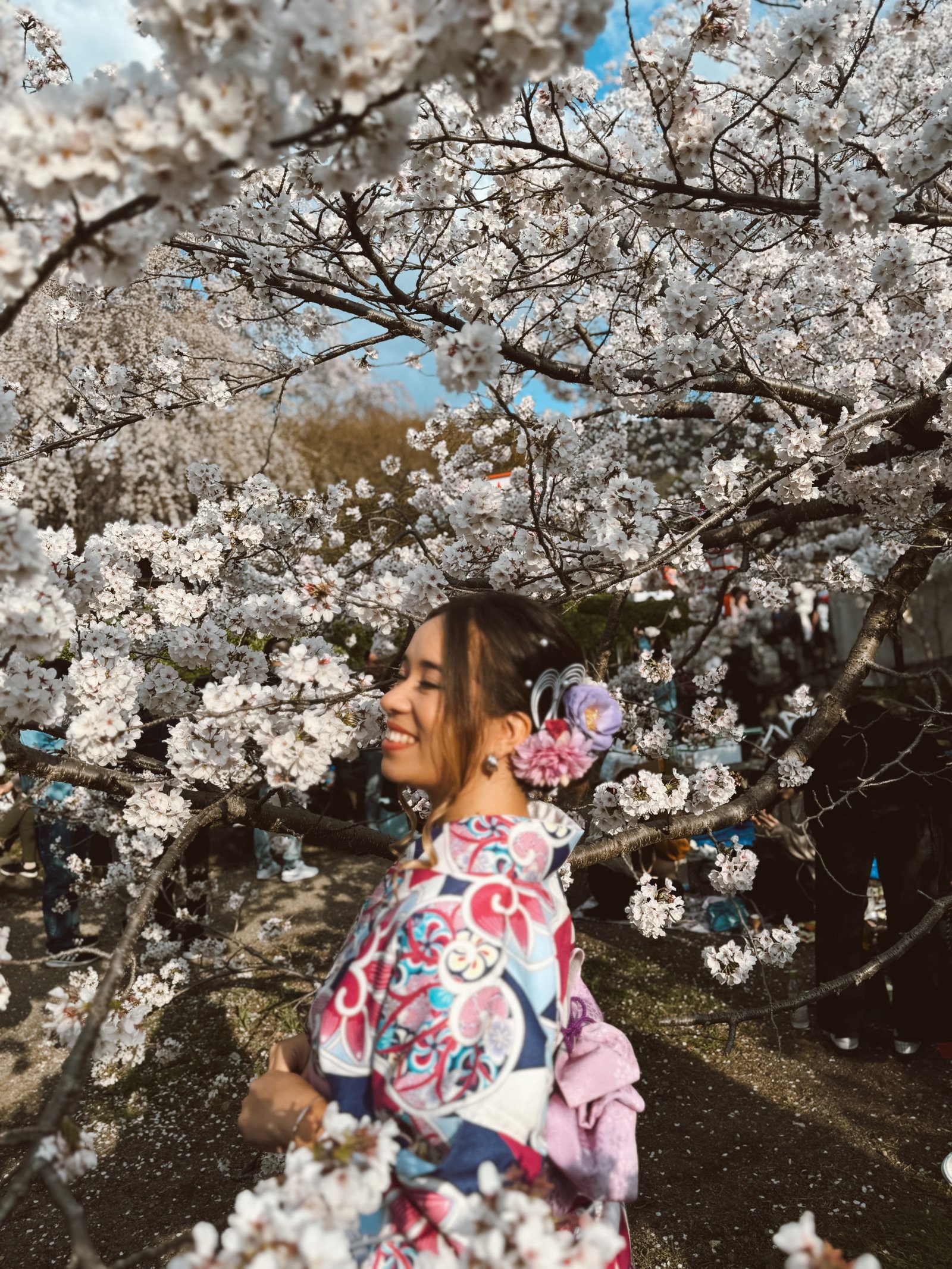 Denise de quimono sob as cerejeiras em flor, no Japão